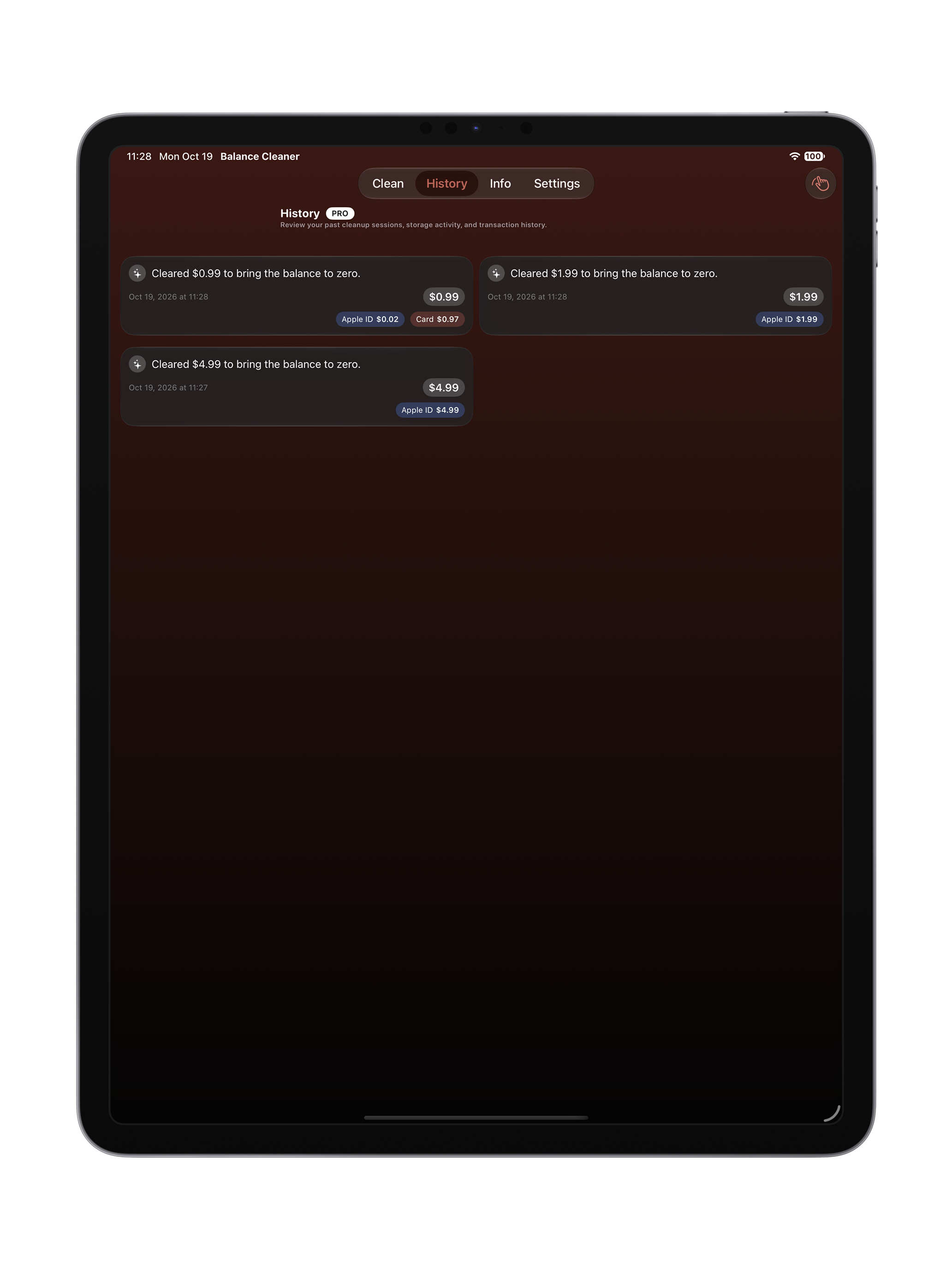 iPad Screen 3